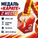 Медаль «Карате» за 2 место с лентой 62×75 мм